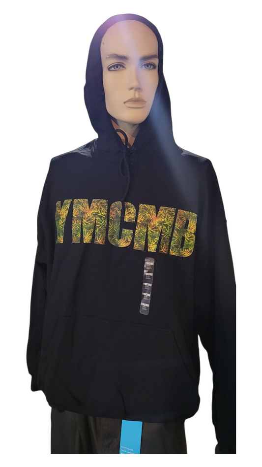 YMCMB Men's Black hoodie with colorful 'YMCMB' text on a mannequin against a white background